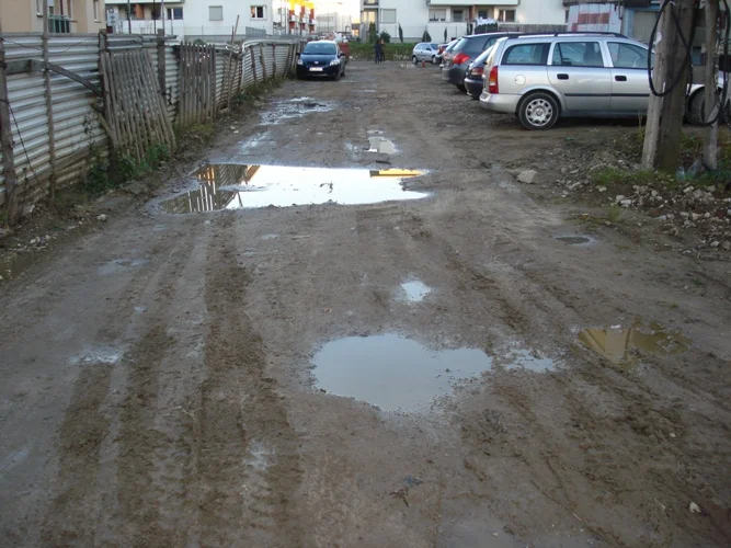 Zdjęcie z galerii
