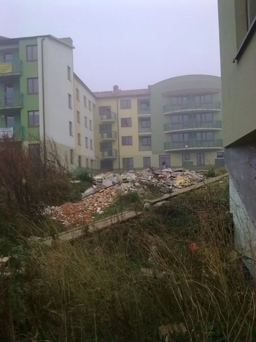 Zdjęcie z galerii